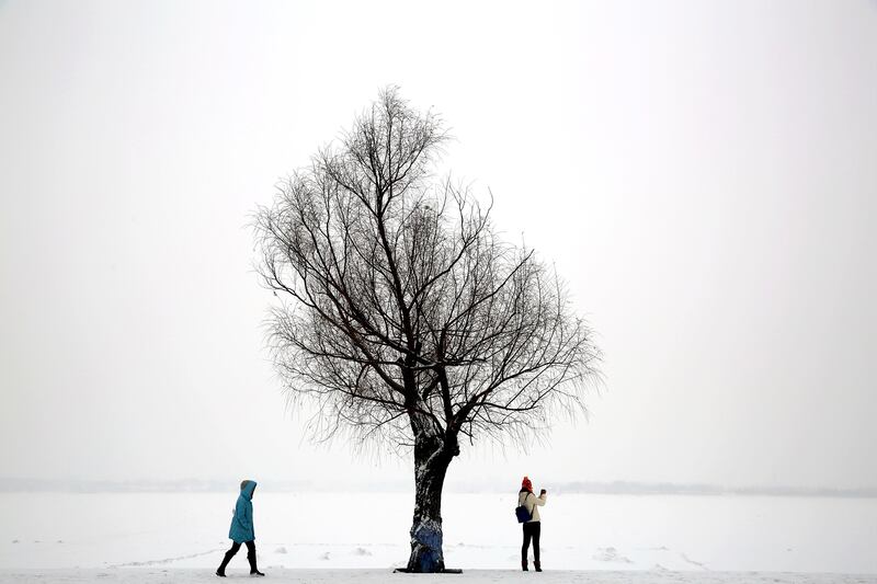 galleries/2014/12/13/the-week-in-photos-december-13-2014/141212-week-photos-07_d8gj3u