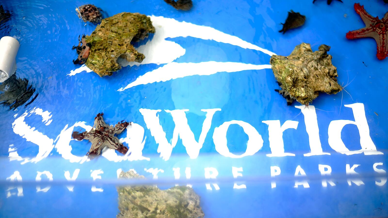 cheats/2014/05/21/san-diego-airport-posts-anti-seaworld-ad/140521-seaworld-cheat_ialmsu