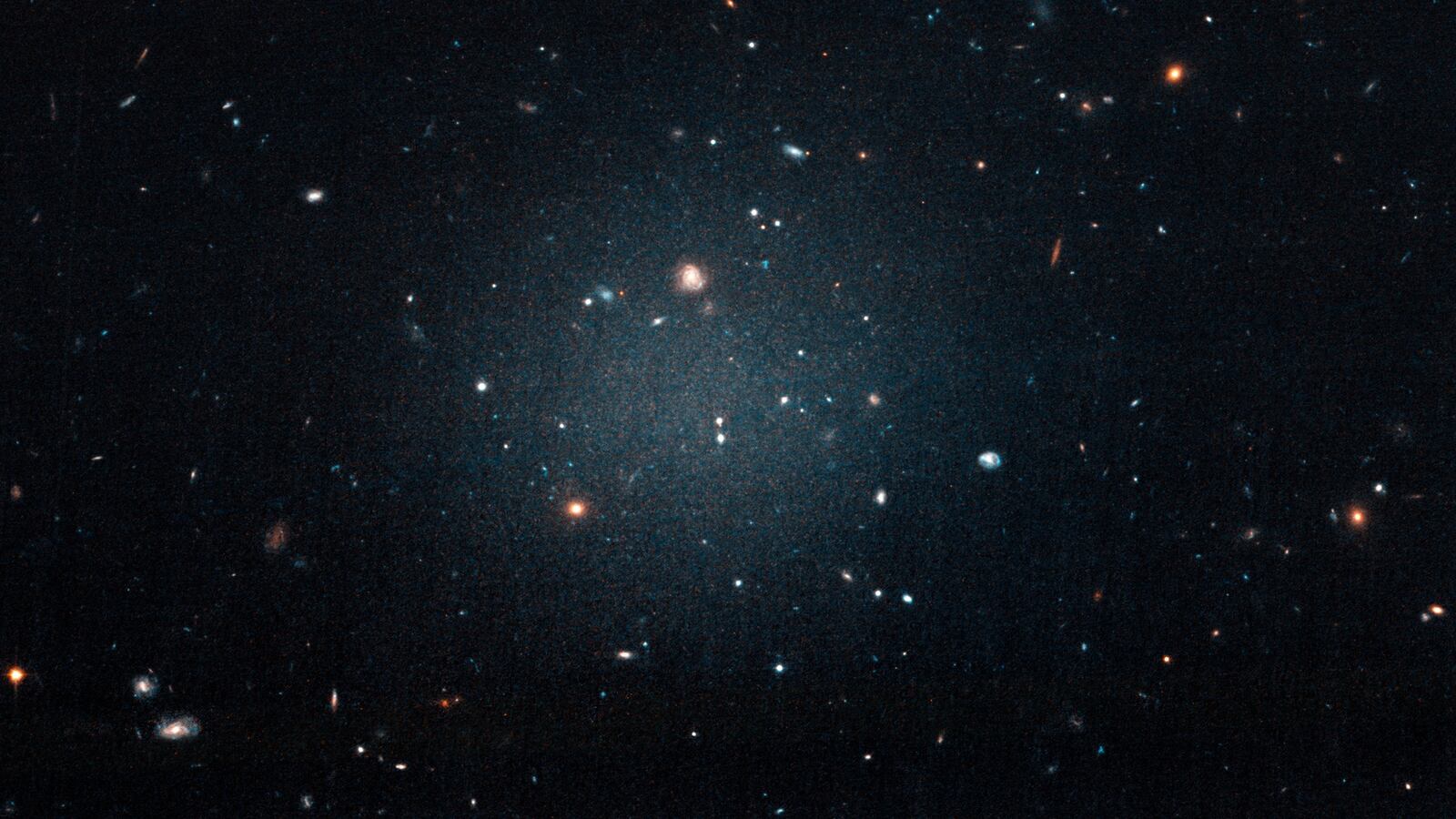 Yale_University_Handout_via_REUTERS_k9hphj