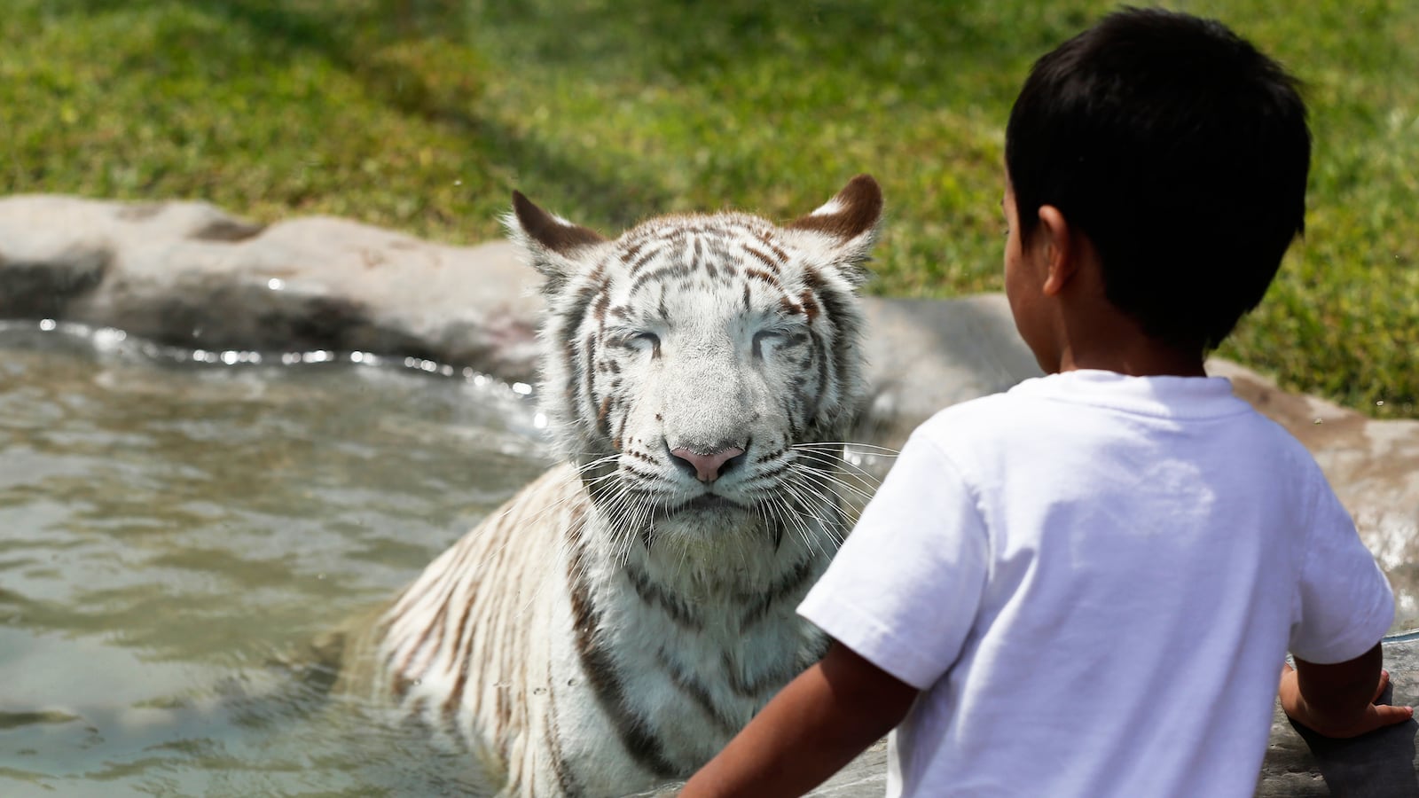 articles/2015/02/15/free-range-kids-are-healthier/150214-hoel-free-range-kids-tease_jnwnpv