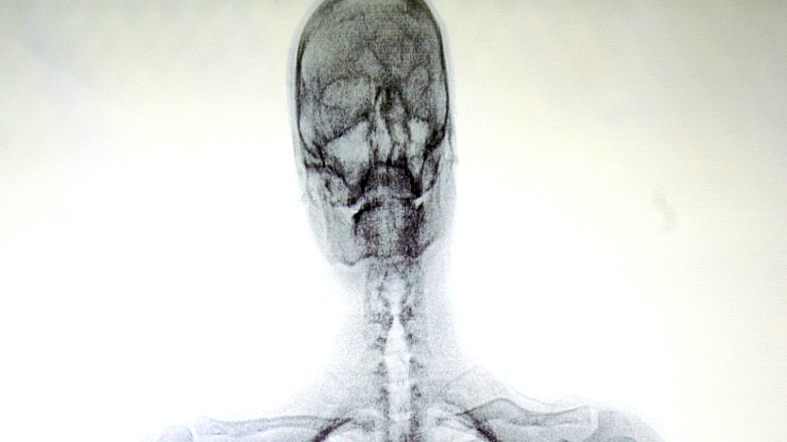 cheats/2013/06/19/death-ray-terror-plot-uncovered-in-albany/130619-death-ray-cheat_icbpbn