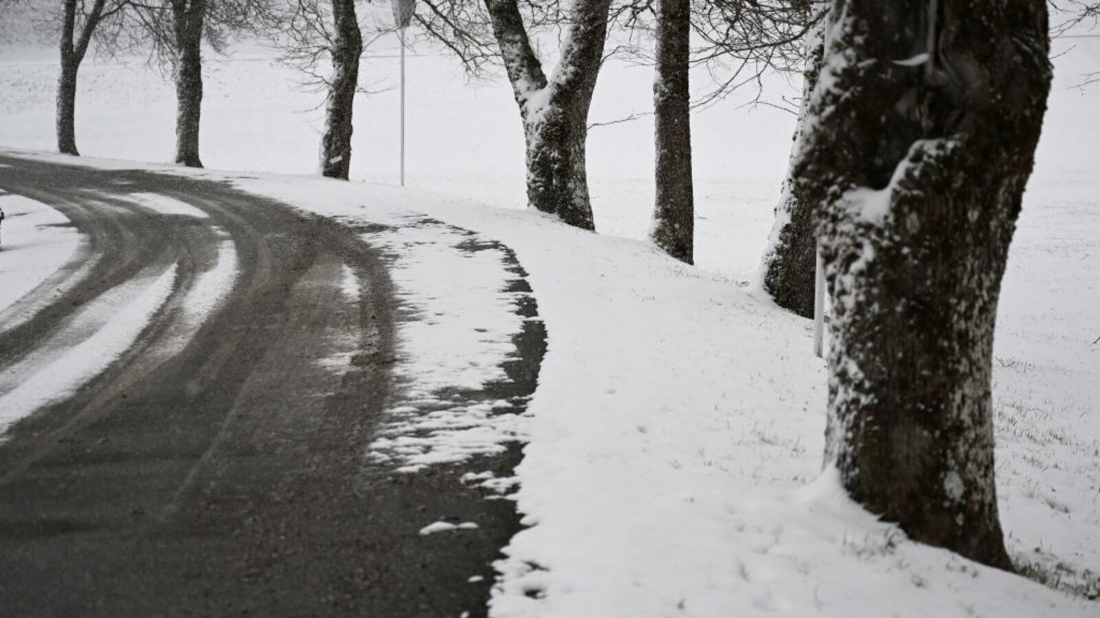 GettyImages-1239683260_1_z2ibm8