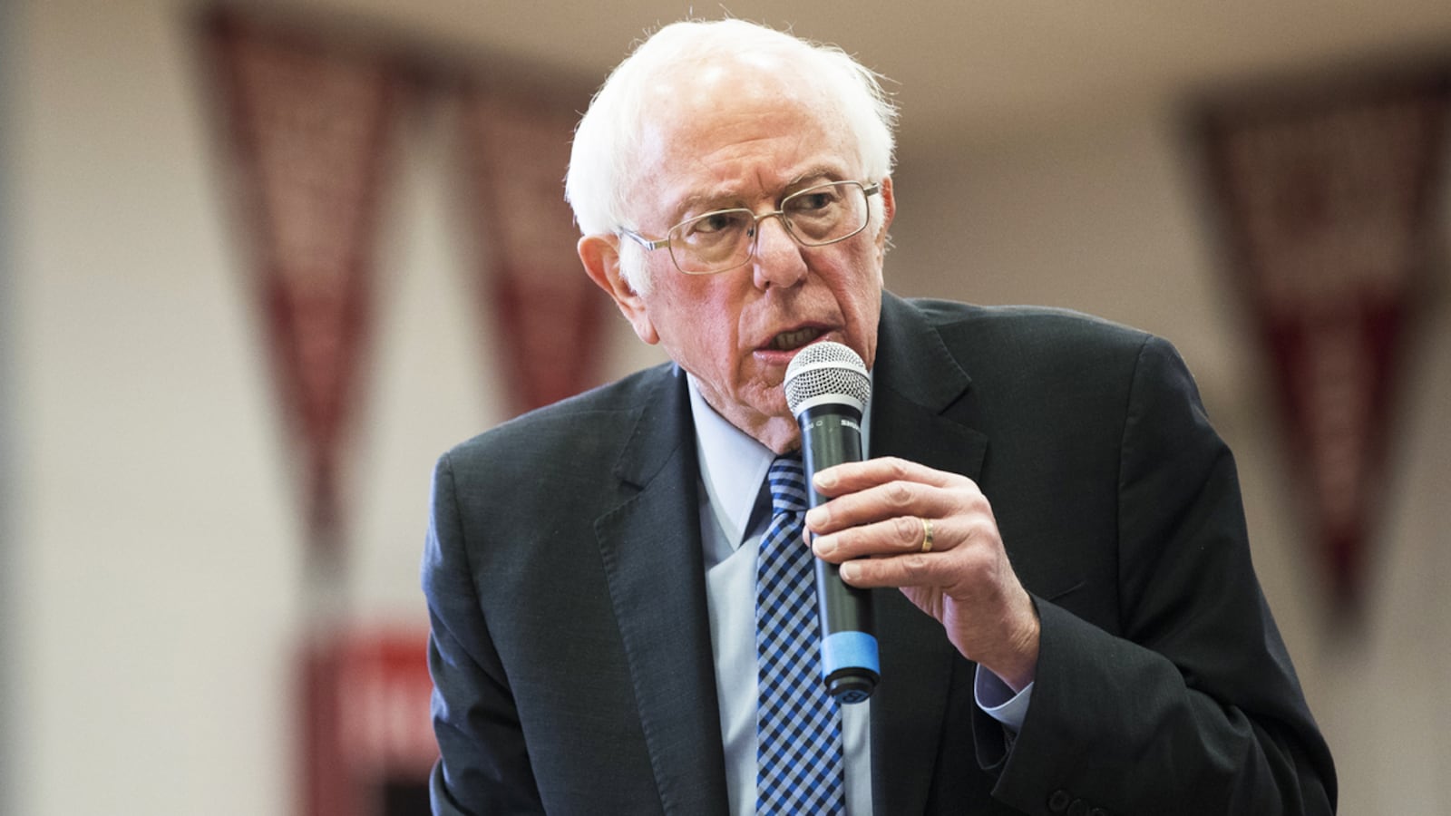 20-02-20-Rawnsley-Stein-bernie-tease_ygsc6k