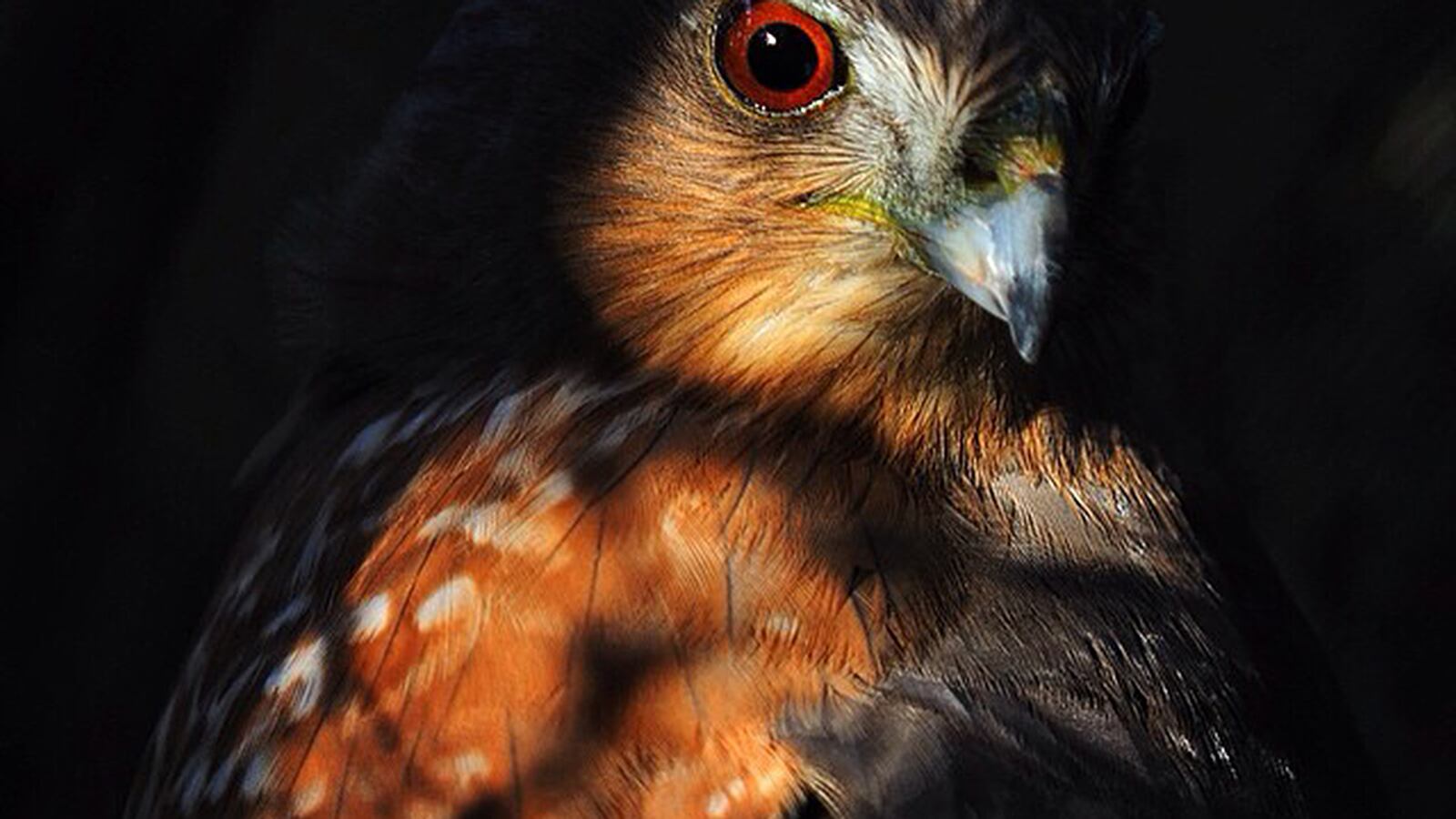 galleries/2015/04/25/instagrammer-of-the-week-keith-ladzinski/150424-instagrammer-ladzinski-03_a1fey1