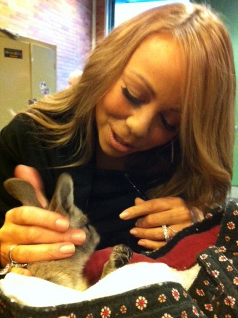 galleries/2012/02/26/rihanna-mariah-carey-and-more-celebrity-twitter-photos/twitpics-1223-carey_y59jng