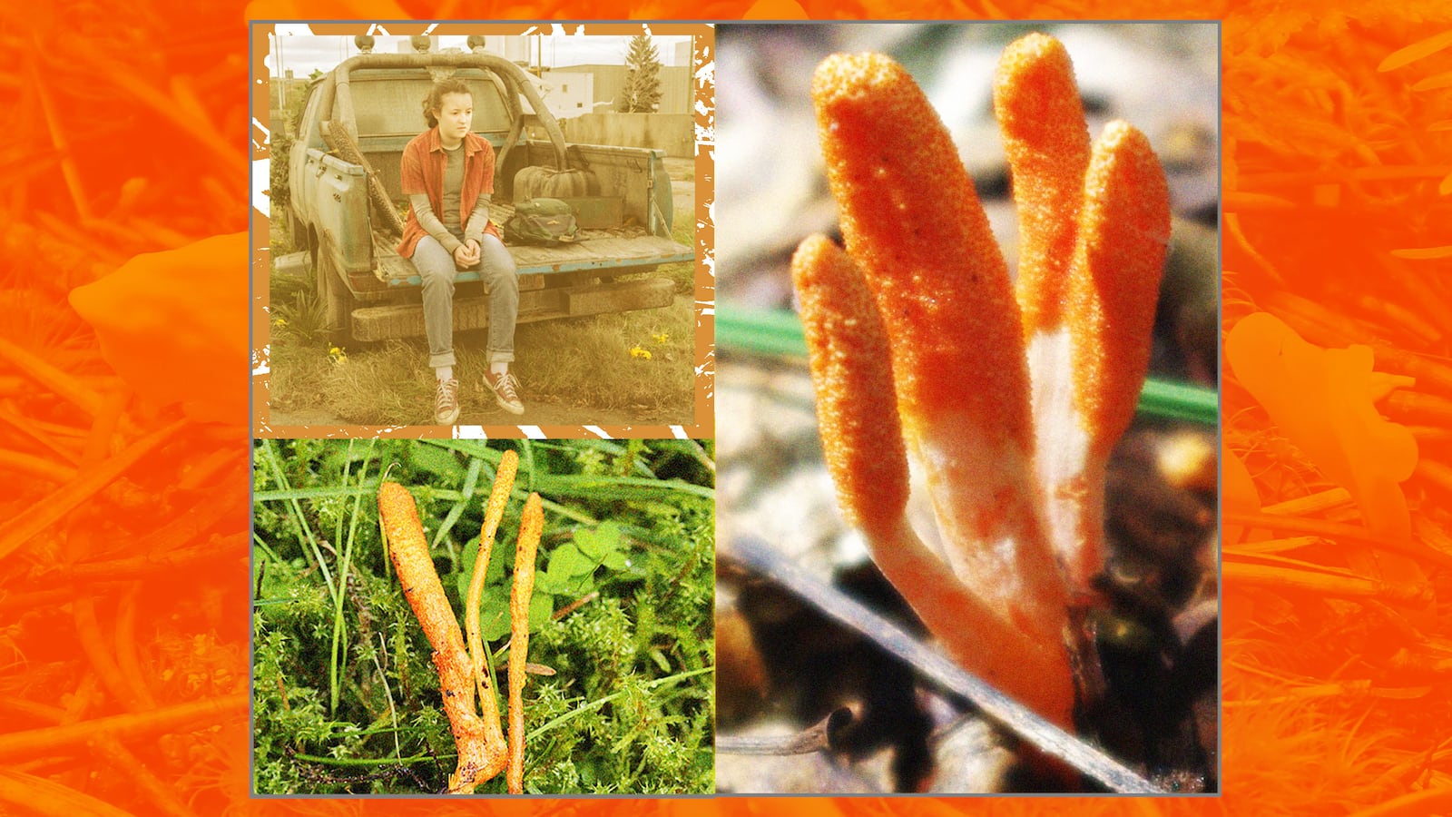 230311-spichak-the-last-of-us-fungus-hero_wwheam