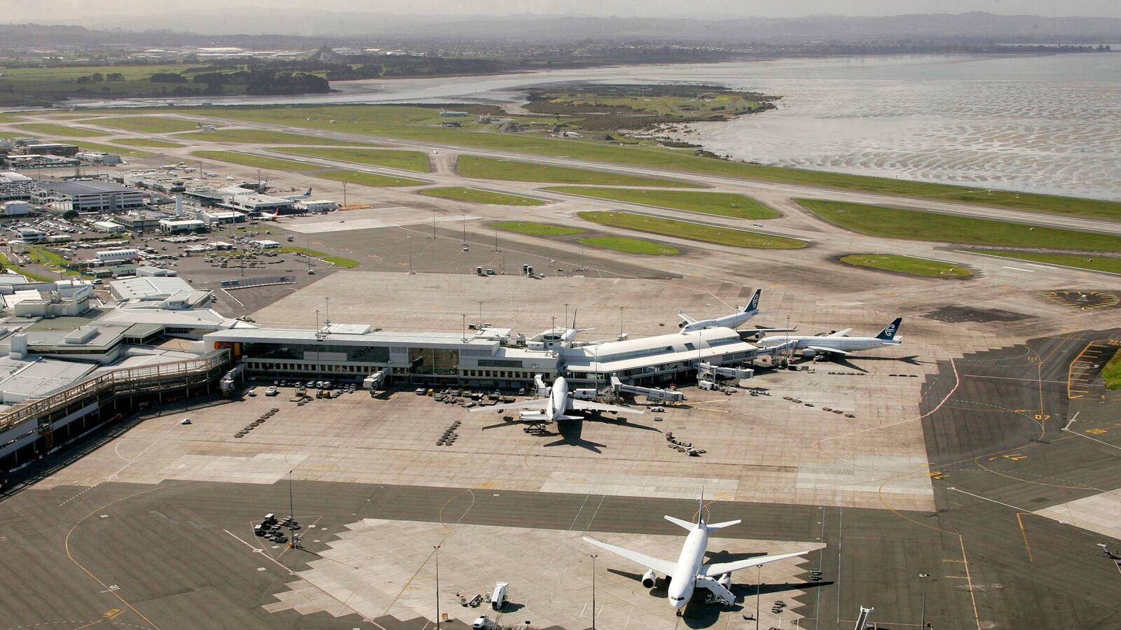 cheats/2017/03/17/runaway-sniffer-dog-shot-after-grounding-flights-at-new-zealand-airport/170316-auckland-airport-shoots-dog-cheat_q1q0b8