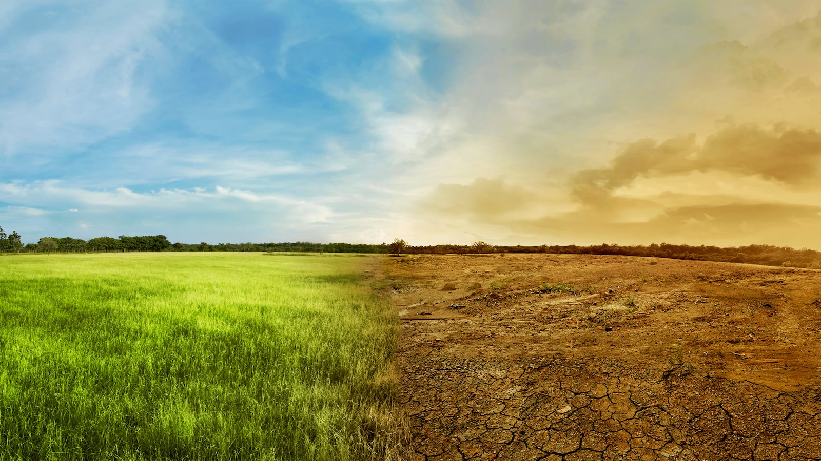 190813-conversation-restore-soil-tease_kzpdqw