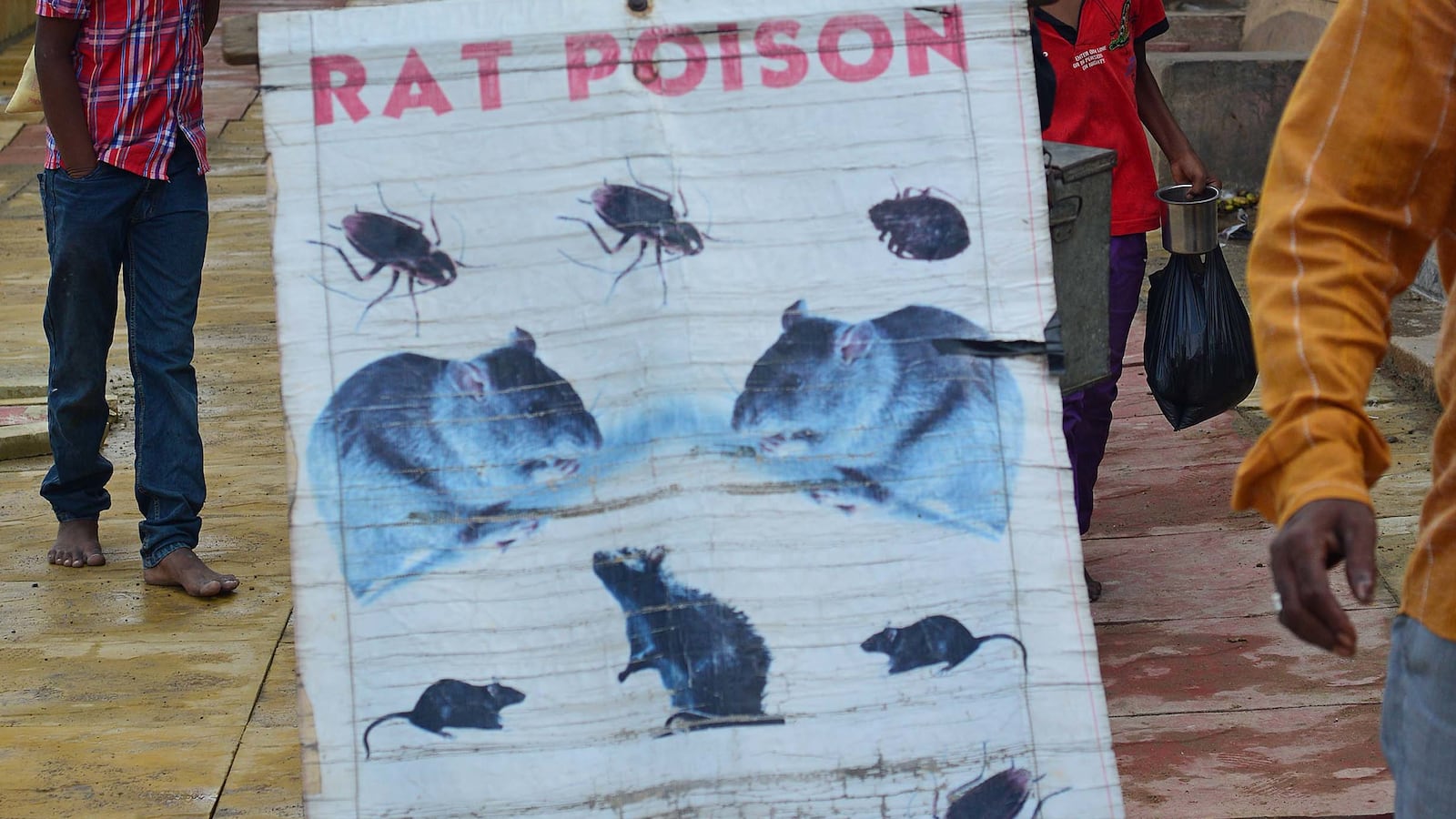 Rat_Poison_vendor_op9gti