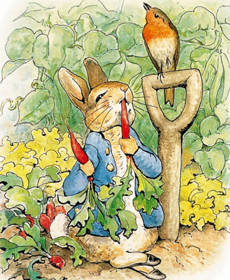 galleries/2011/09/17/new-beatrix-potter-by-emma-thompson-and-other-literary-sequels/peter-rabbit-beatrix-potter-literary-sequels_kcyh1h
