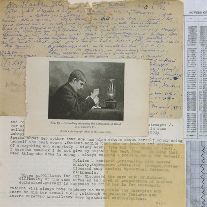 galleries/2011/12/31/janet-malcolm-free-associations-photos/Malcolm-Rabbit-Ear_a0oqbz