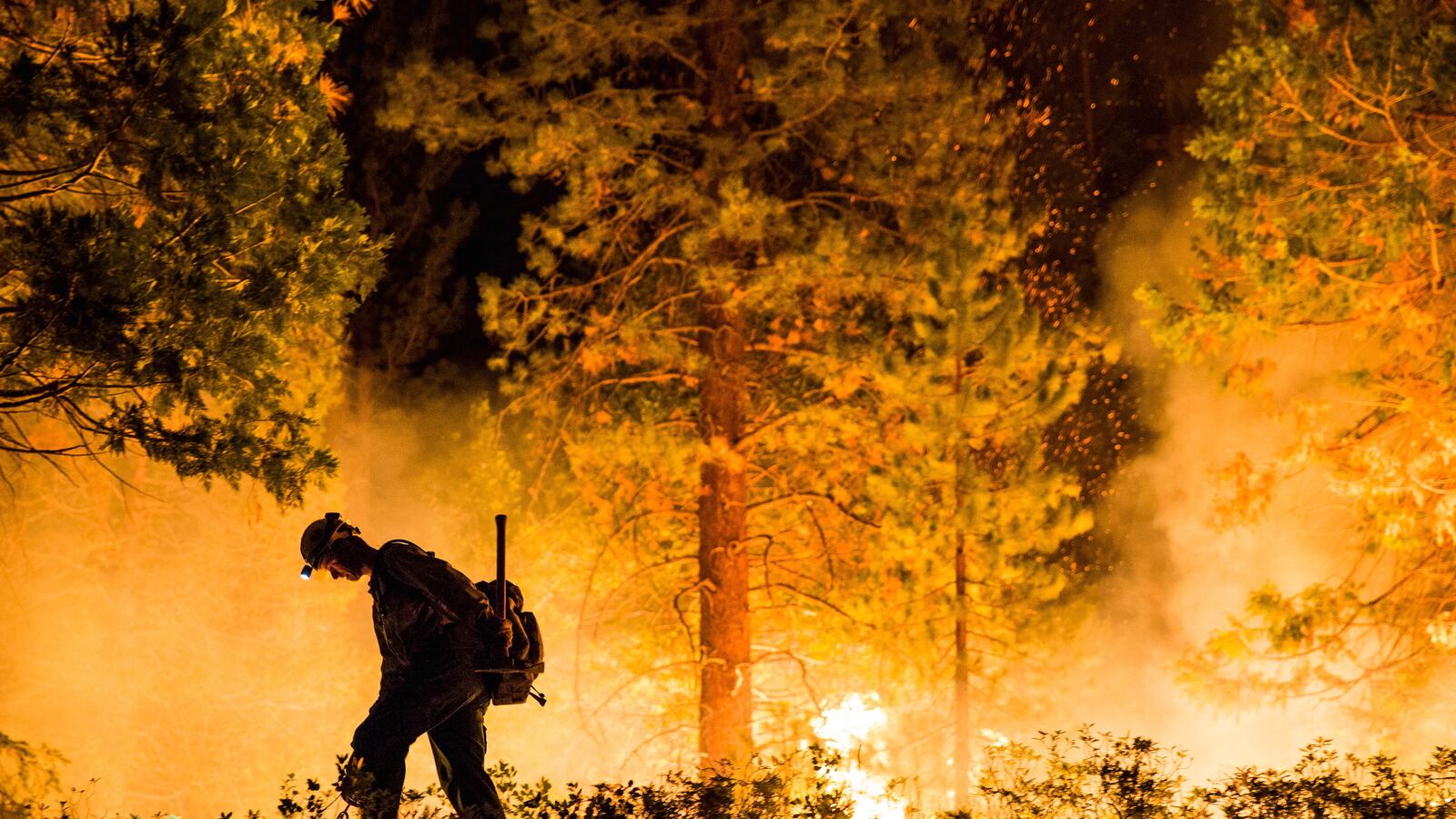 cheats/2015/08/24/wa-wildfire-is-largest-in-state-history/150824-fire-cheat_h4gohx