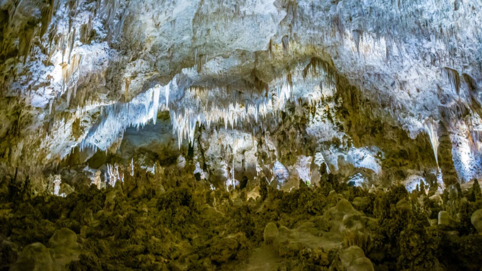 GettyImages-1404569495_axavan