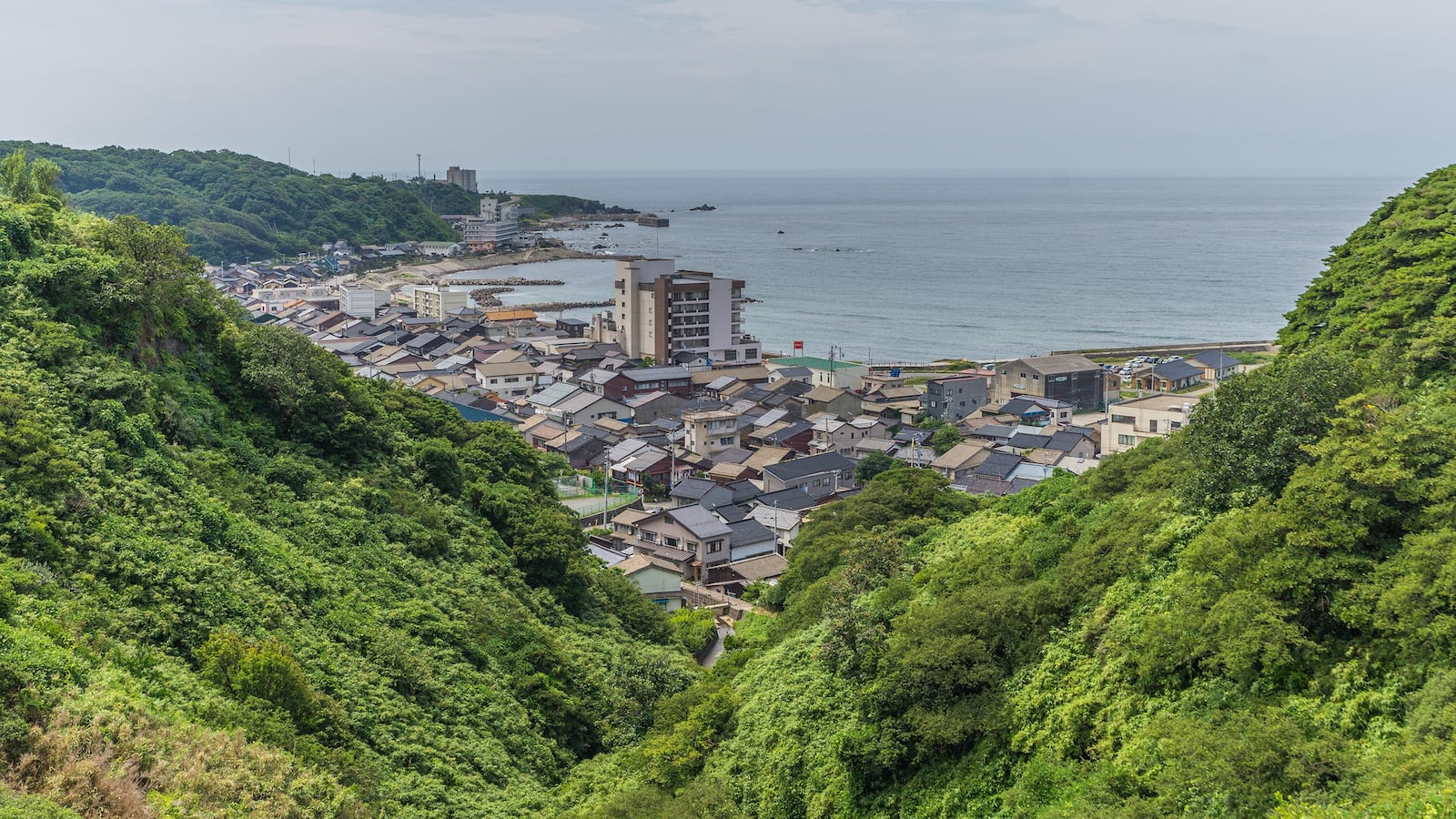 210224-adelstein-sado-island-tease_pxxhq0