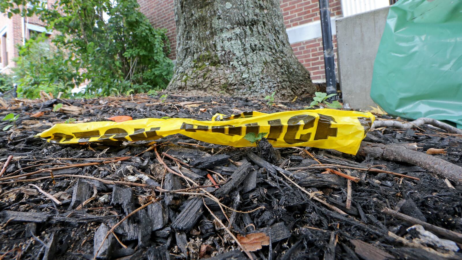 GettyImages-1277314512_gpa6eq