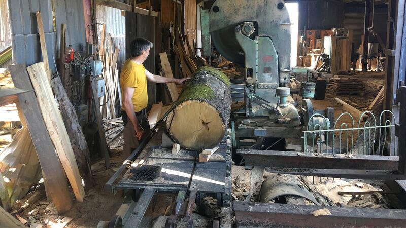 200229-Rothbaum-Scotch-Barrel-Oak-embed-01_poombl