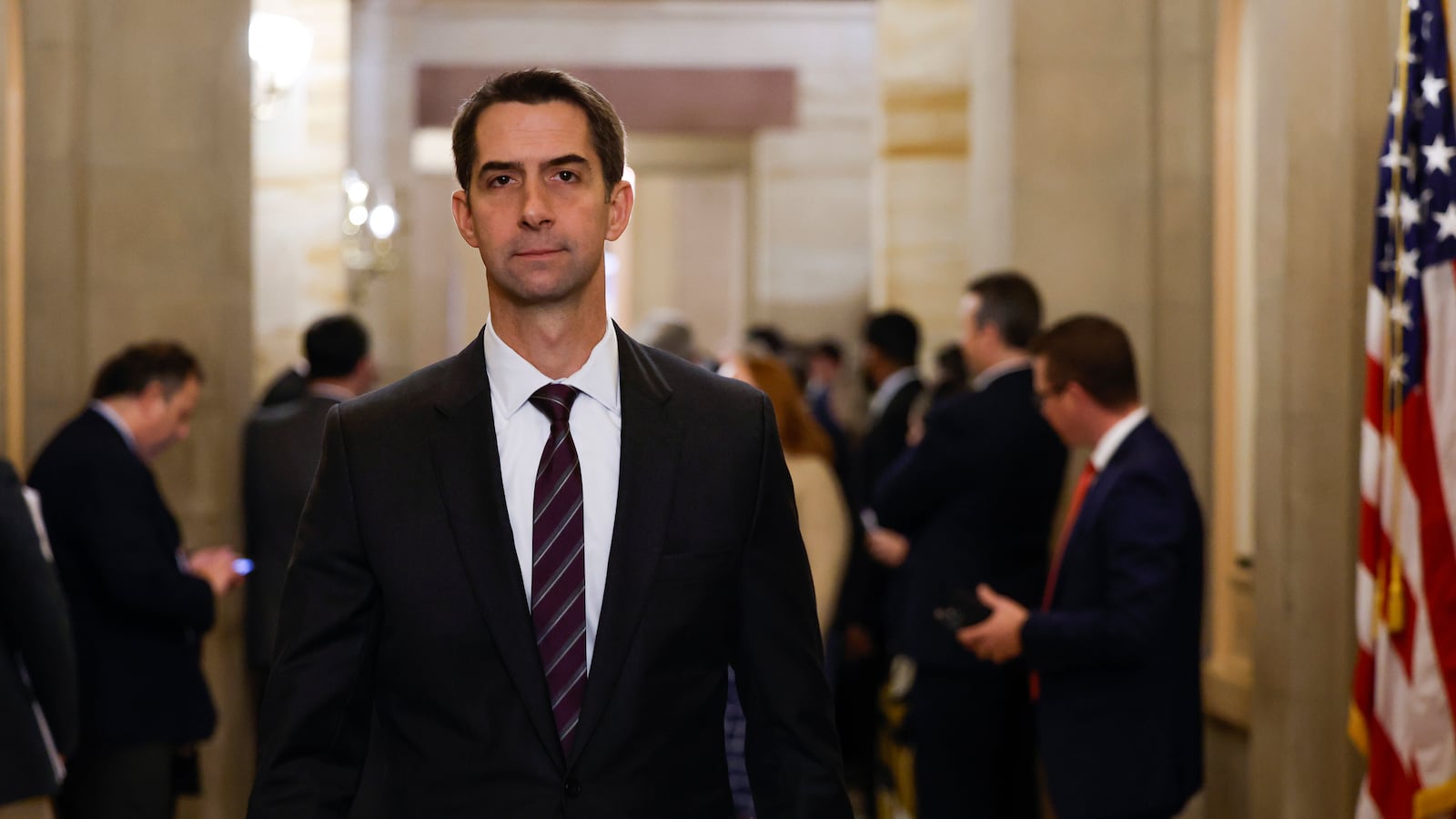 Tom Cotton