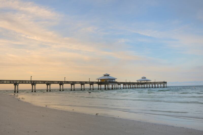 galleries/2010/11/09/vet-capitals/vet-capitals---fort-myers-florida_uklzrc