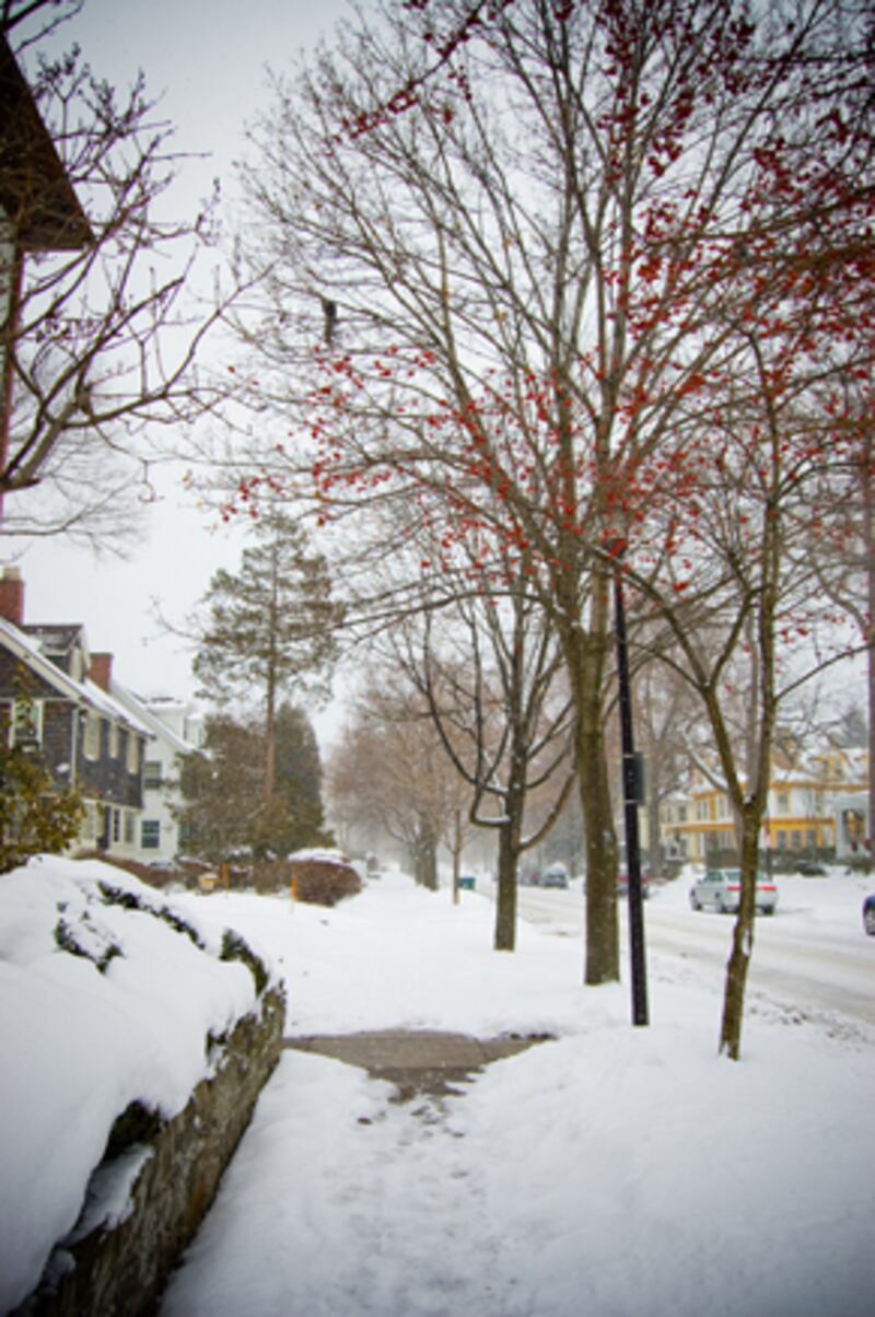 galleries/2010/12/27/snowiest-cities/snowiest-cities---rochester_ccasxu