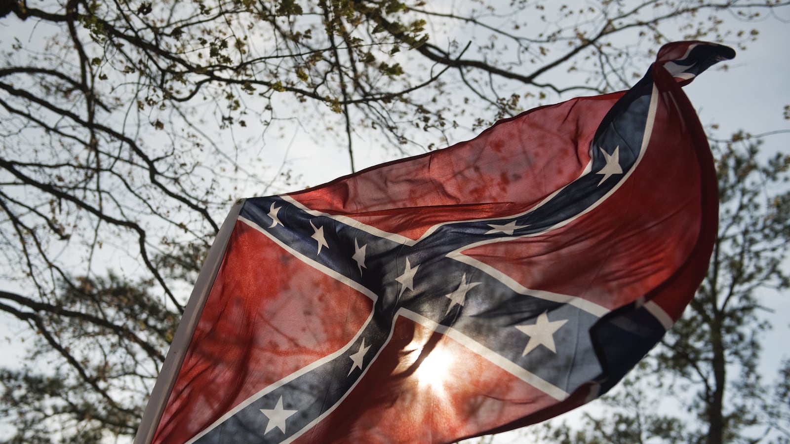 articles/2013/08/08/what-links-the-neo-confederate-virginia-flaggers-barack-obama-race/130807-bouie-flaggers-tease_admvco