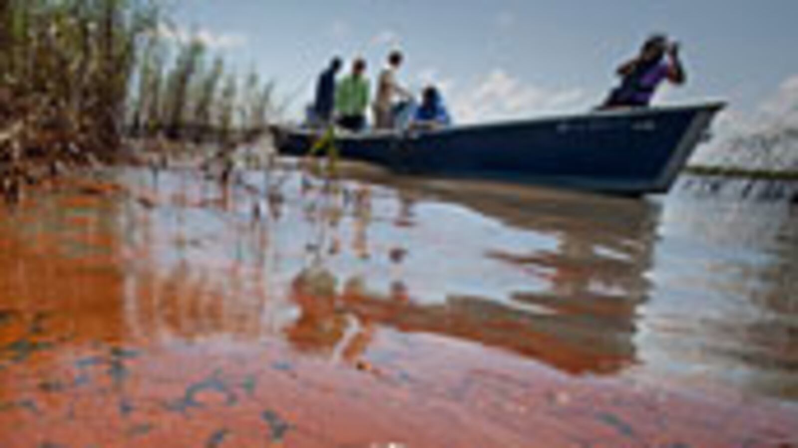 articles/2010/06/21/blowout-preventer-to-blame-for-oil-spill/oil-wrap_108500_s2u2kr