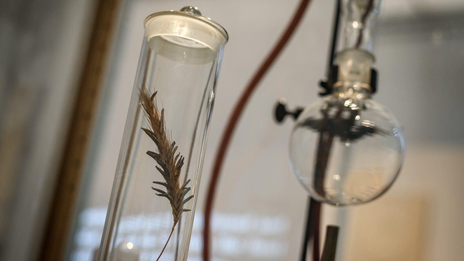 GettyImages-1051938748_ce5qvg