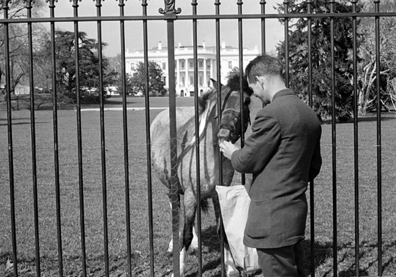 galleries/2009/04/12/presidential-pets/presidential-pets---jfk-horse-macaroni_s9ruzz
