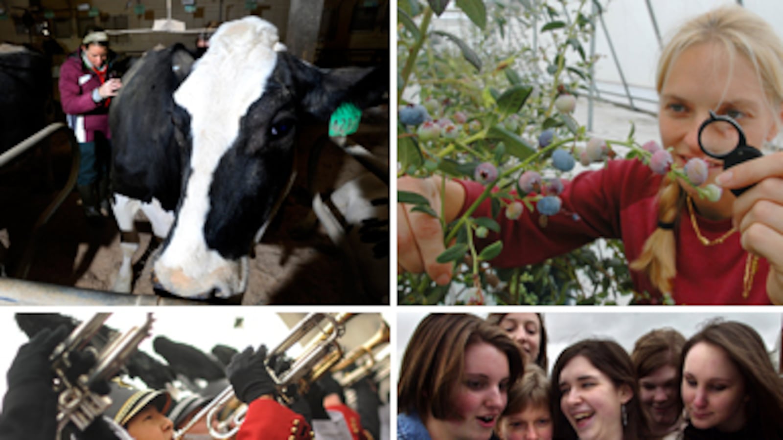 articles/2011/04/27/useless-college-majors-from-journalism-to-psychology-to-theater/useless-degrees_176091_ebbmta