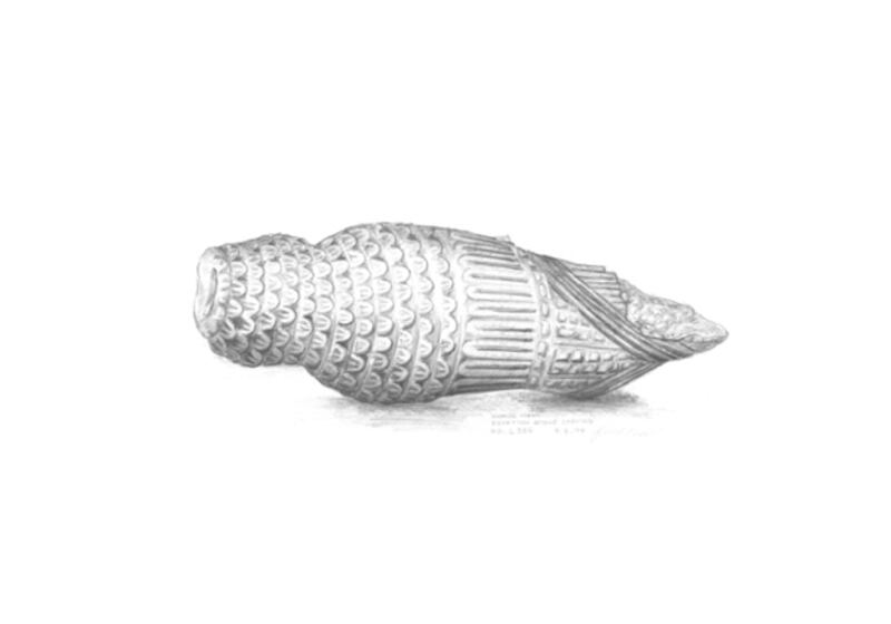 galleries/2011/01/25/jane-mcadam-freud/jane-mcadam-freud---5_tqi1ux