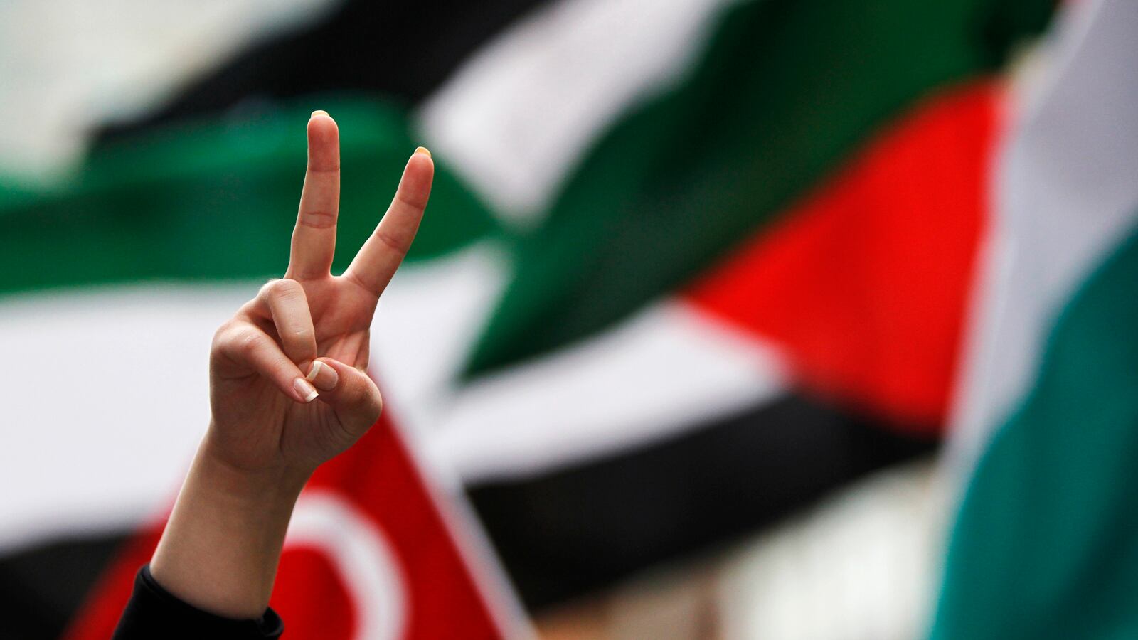 A pro-Palestinian supporter gestures in front of Palestinian flags with other supporters.