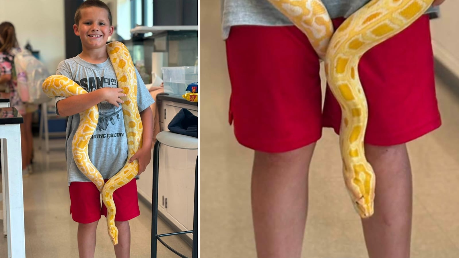 A student holds the python class pet
