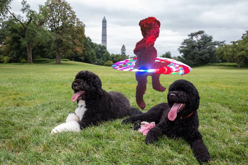 articles/2013/08/22/peter-dinklage-hula-hooping-makes-every-photo-better-from-the-royal-baby-to-justin-bieber/dinklage-obama-dog_yxx9if