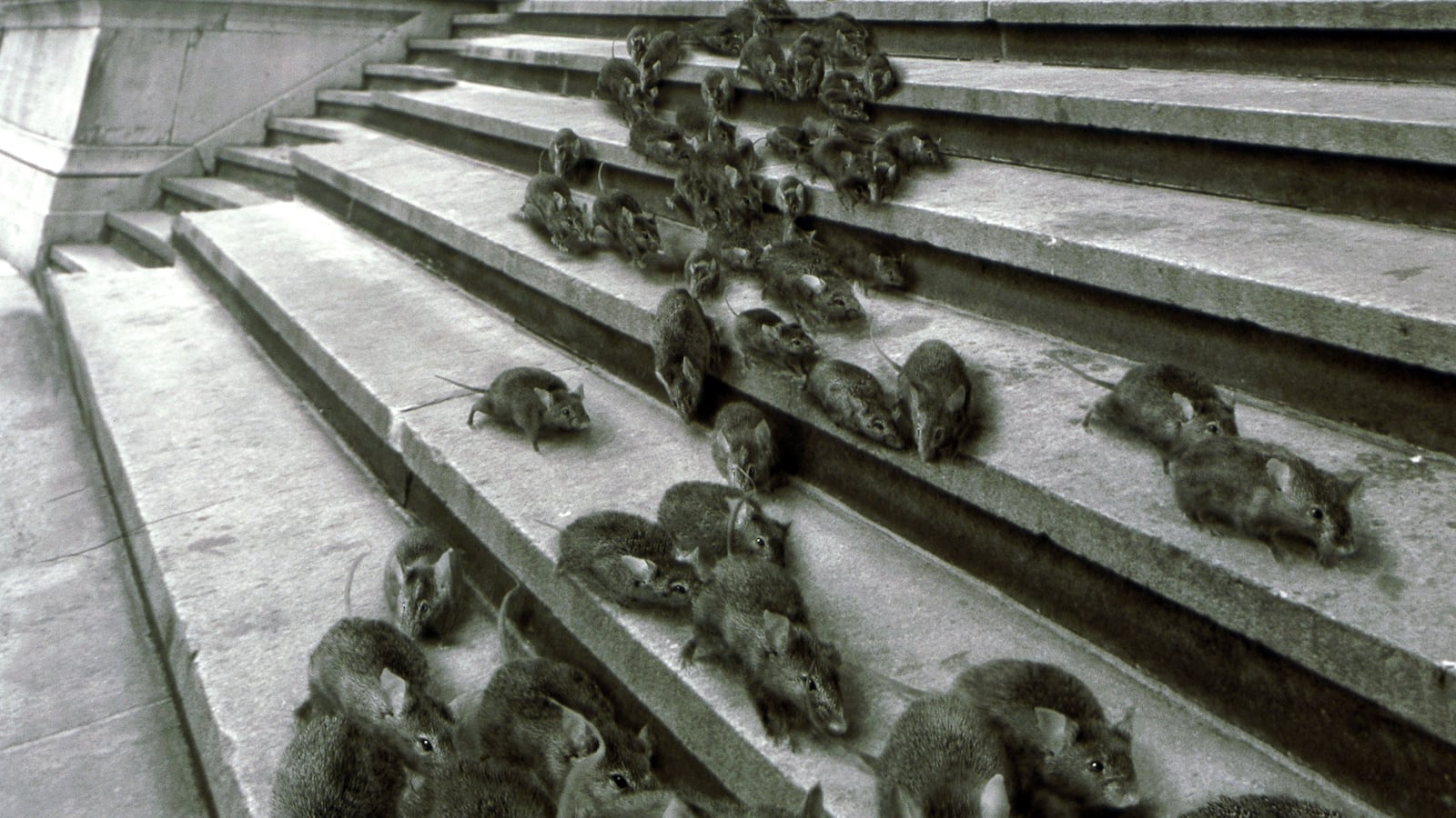 articles/2013/01/18/the-big-idea-how-commerce-spreads-contagion/130118-contagion-harrison_f2nan7