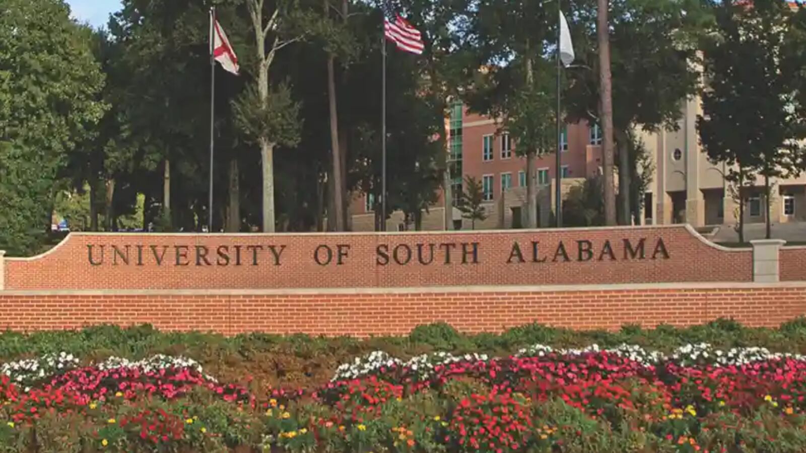 Screen_Shot_2021-03-05_at_9.53.25_PM_buczn2