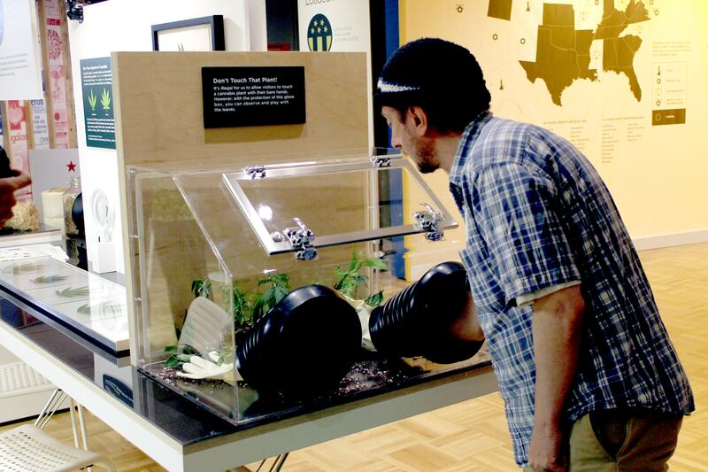 articles/2016/05/09/this-oakland-pot-exhibit-will-give-you-a-high/160508-wilson-marijuana-exhibit-embed2_sy1obp