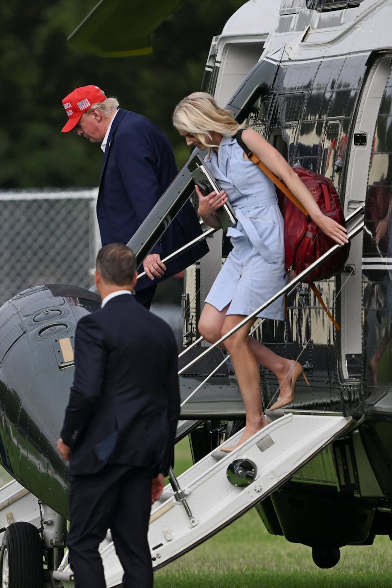 trump natalie harp