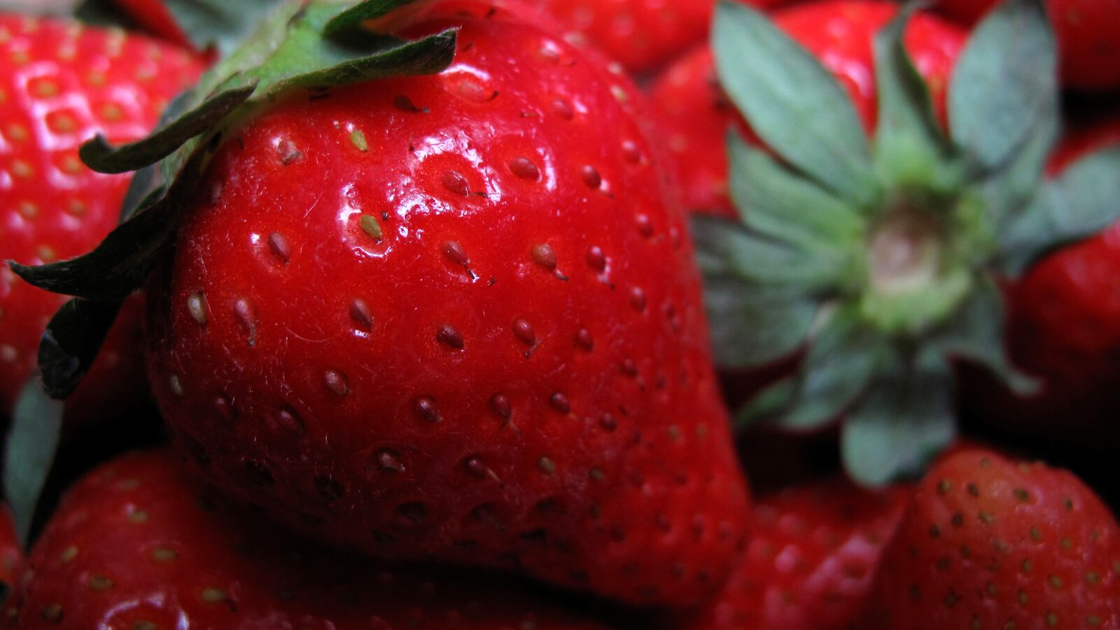 2012-05-04T000000Z_1483219315_LR2E8540K2705_RTRMADP_3_GERMANY_yelyrb