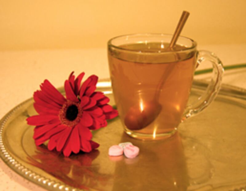 articles/2011/02/09/valentines-day-cocktail-recipes-to-fall-in-love-with/vday-cocktails---stiff-bitter_emyeqc