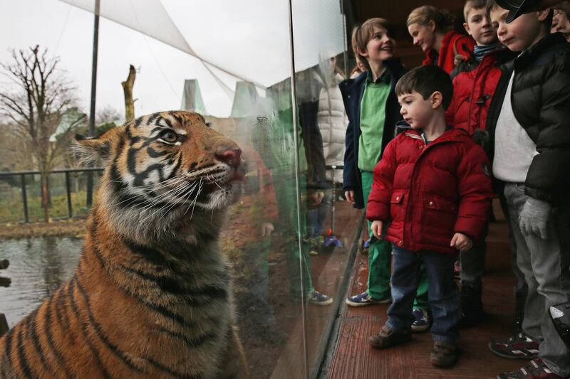 galleries/2015/01/10/the-week-in-pictures-january-10-2015/150108-week-photos-02_dujwsk