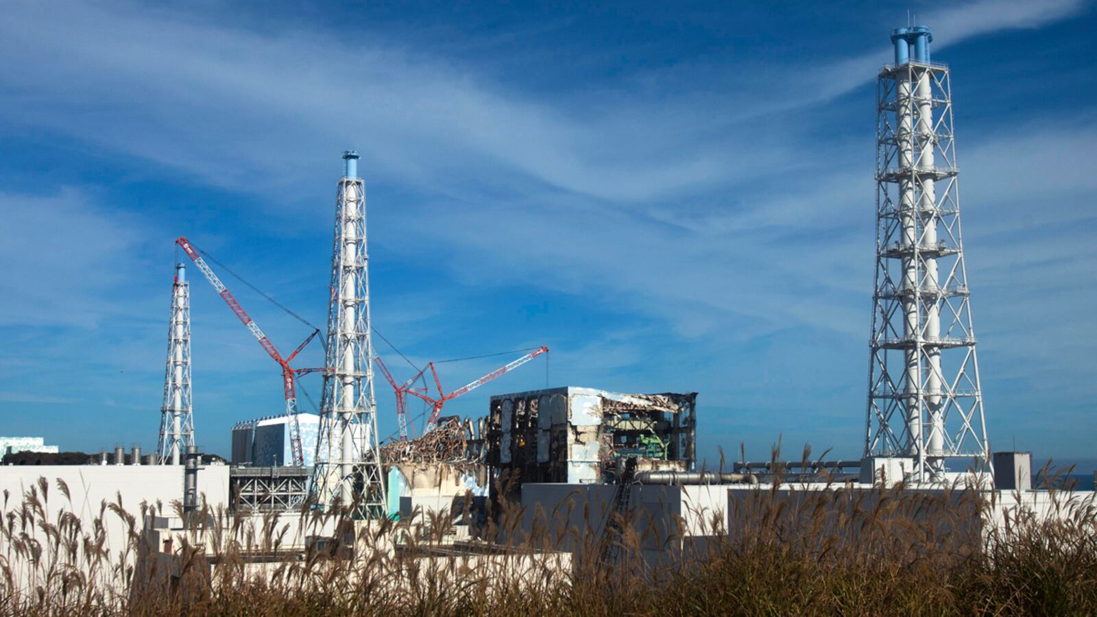 cheats/2011/12/26/panel-fukushima-plant-wasn-t-ready/japan-fukushima-nuclear-plant-declared-stable-cheat_n65m04