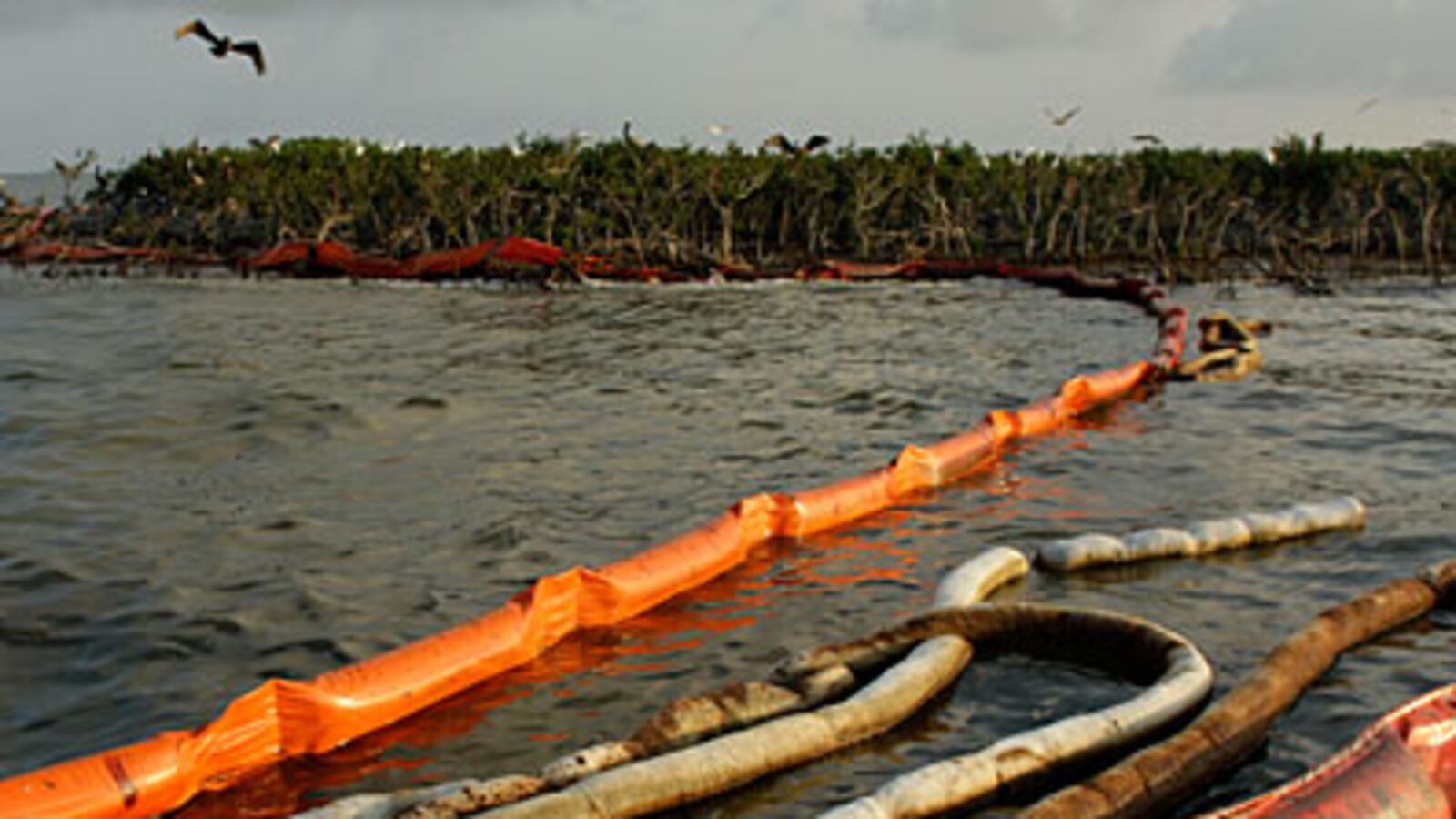 cheats/2010/06/06/oil-spill-cleanup-will-drag-into-fall/bp-oil-war_nnml5e
