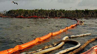 cheats/2010/06/06/oil-spill-cleanup-will-drag-into-fall/bp-oil-war_nnml5e