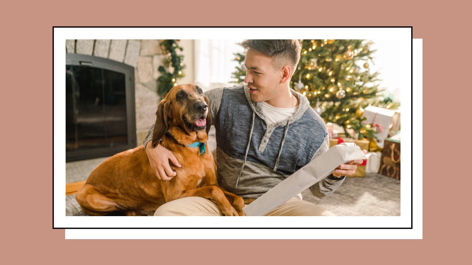 Happy Dog and Owner Celebrating Christmas Together by Tree With a Dog DNA Test Kit Gift