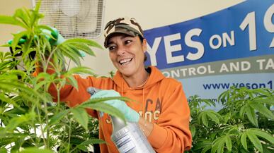 articles/2010/11/05/legal-pot-california-was-right-to-defeat-prop-19/rosenthal-california-pot_139039_cbydpq