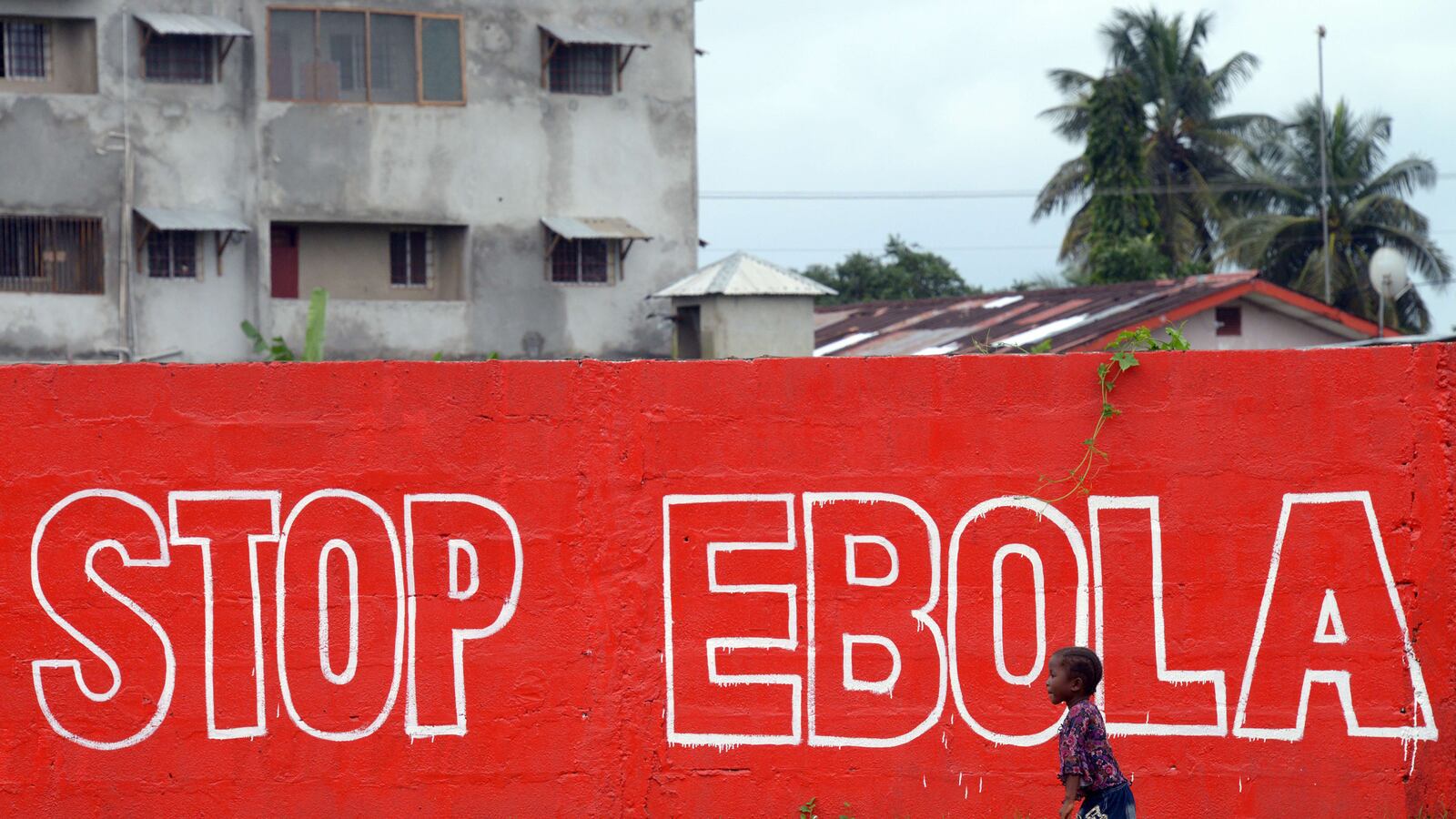 articles/2014/10/08/is-silicon-valley-sitting-out-the-fight-against-ebola/141007-haglage-ebola-tease_amvrb0