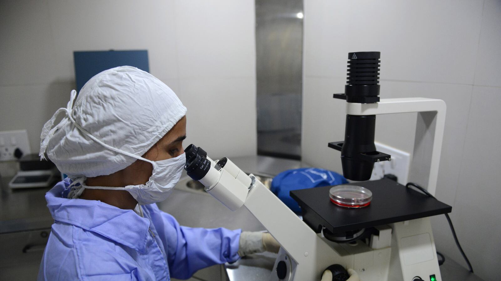 cheats/2013/07/04/scientists-grow-tiny-livers/130704-stem-cells-cheat_flxh6z