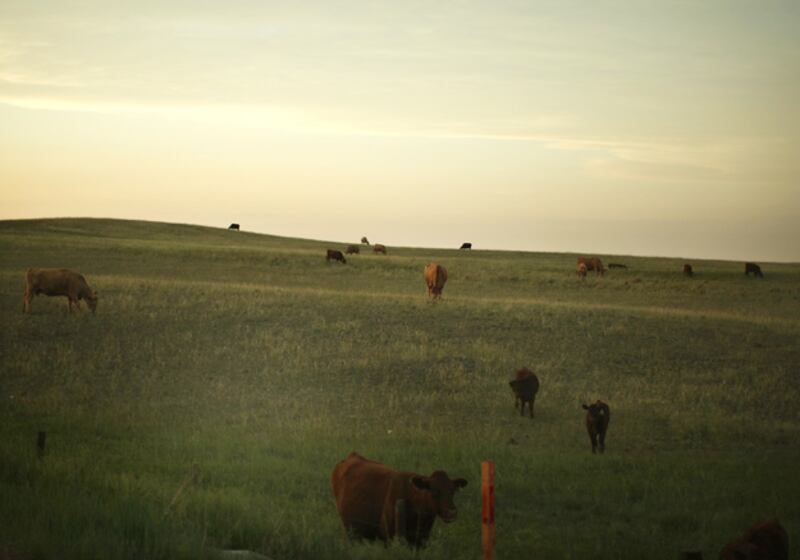 galleries/2010/08/27/20-recession-proof-cities/momentum-cities---cheyenne_tkls4u