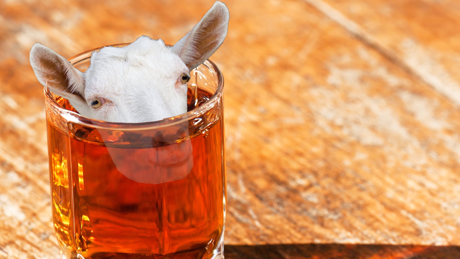 articles/2015/09/26/great-rum-without-rotting-goat-heads/150925-goldfarb-goat-whiskey-tease_xlizue