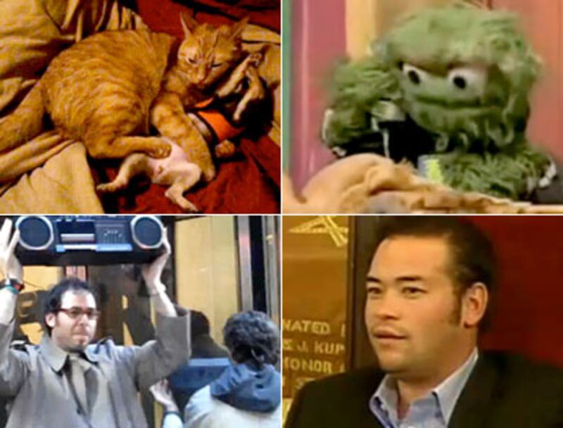 articles/2009/11/06/the-week-in-viral-videos-3/viral-video-4_61312_safvjr