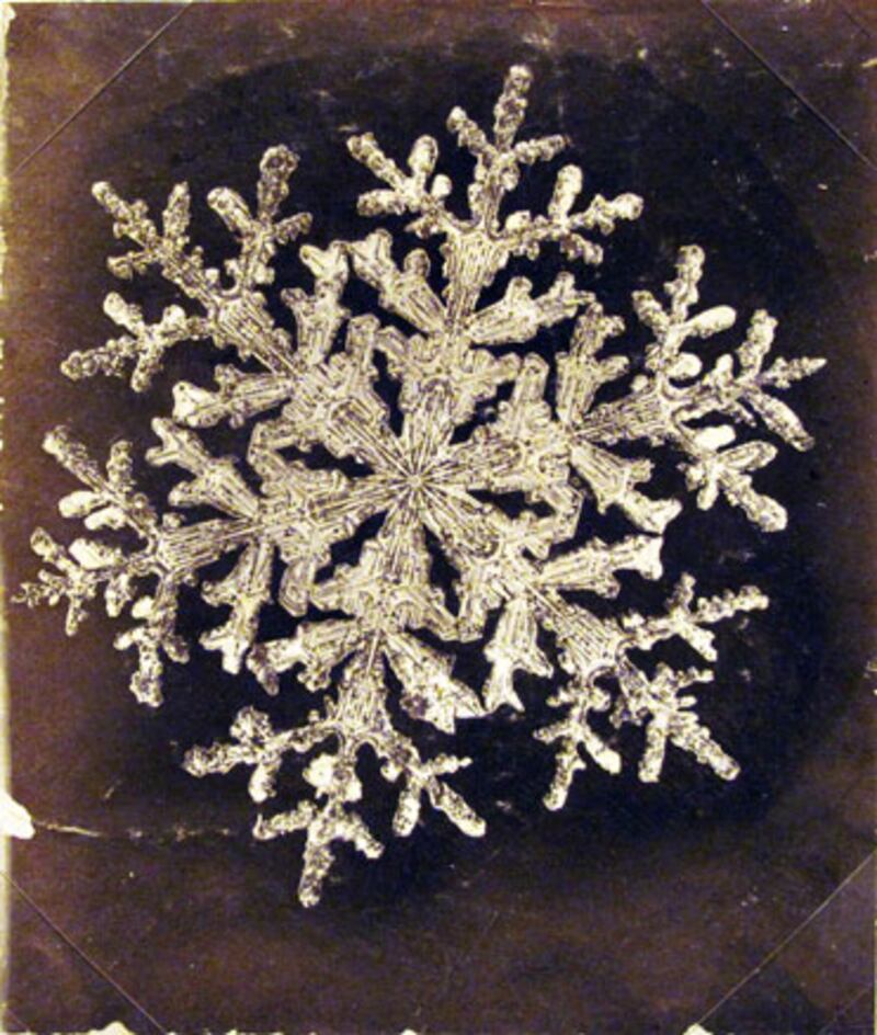 galleries/2010/01/26/the-art-of-the-snowflake/snow-crystals---2_jejufj